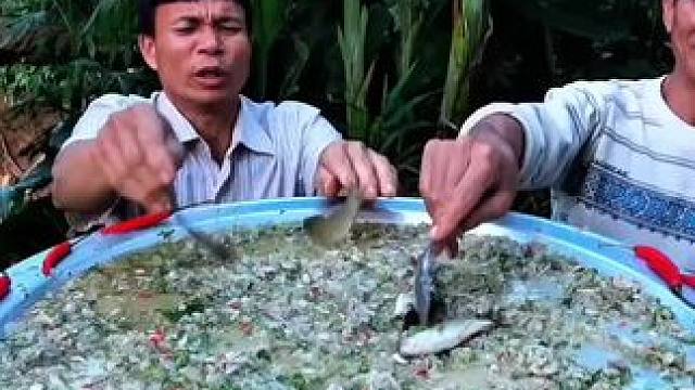 越南特色鱼生 #越南鱼生#越南美食 #原生态美食 #内容启发搜索 #萤火计划