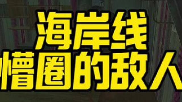 #逃离塔科夫  海岸线懵逼圈的敌人