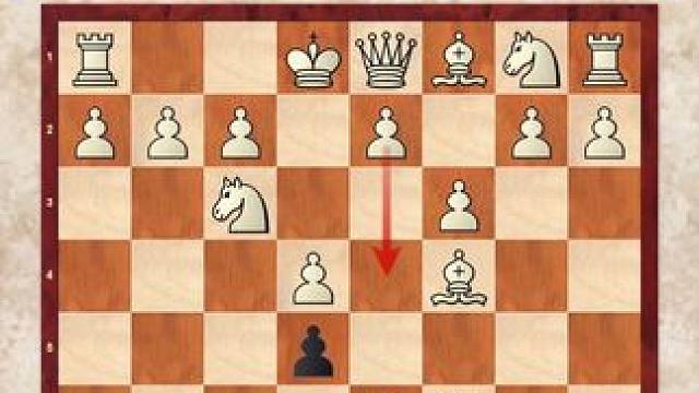 菲利道尔防御精彩对局，黑方“安静的一招”绝杀比赛#国际象棋 #下棋的手法和技巧 #比赛 #下棋