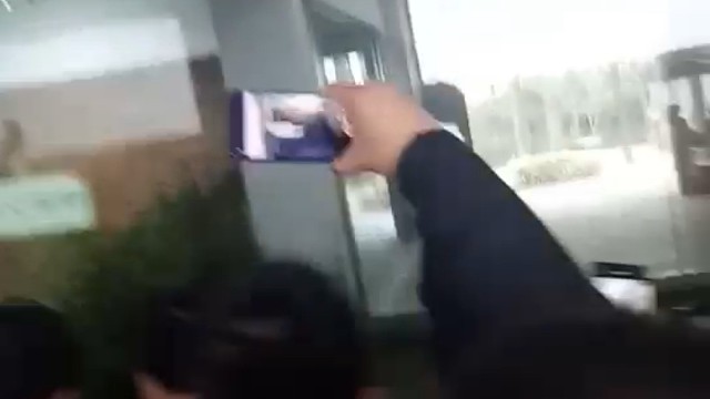 黑白大猫(●'◡'●)