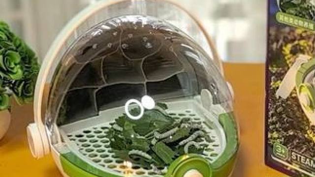 又到了饲养观察蚕宝宝的季节了，给孩子准备了这个透明的蚕宝养育舱，给蚕宝宝一个温馨漂亮的家。#养蚕 #