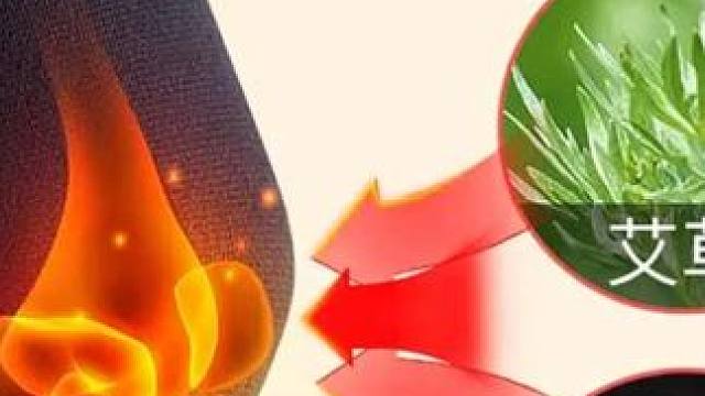 浪莎艾草护膝盖套保暖老寒腿男女士关节发热夏季短薄款空调房防寒
 
 #护膝 #护膝护腿 #护膝保暖 