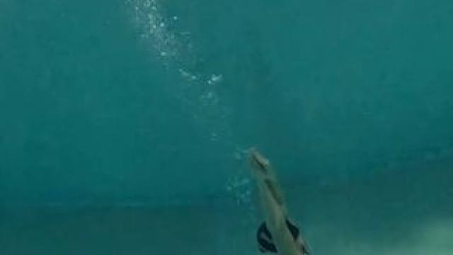 游泳出发力量感训练‍♀️海豚腿垂直水下打腿！ #游泳技巧 #游泳打卡 #爱游泳 #游泳我是认真的 #