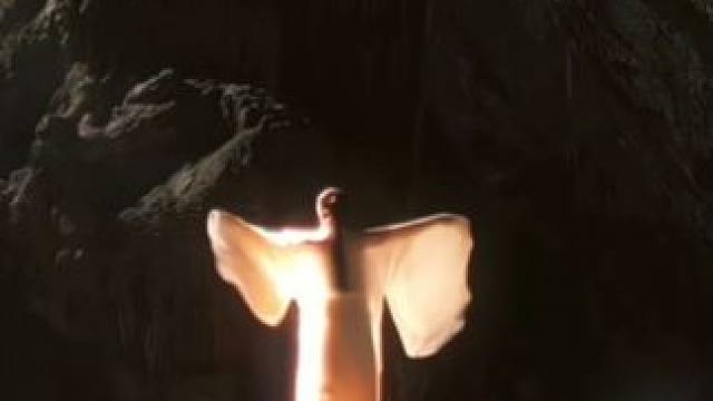 做野花 做千千万万#舞蹈 #三八妇女节 #光是一切氛围感的源头