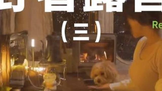 野奢露营（三）#露营 #助眠 #解压 #狗 #户外露营