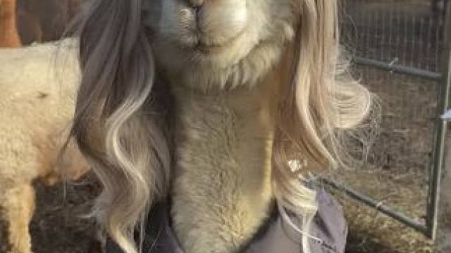 一眼看去，有没有恋爱的感觉 #感觉至上