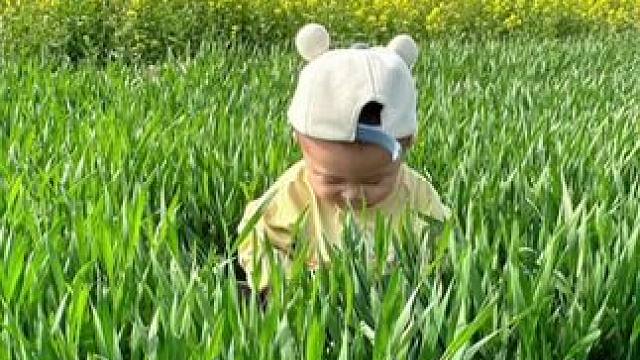 #抽纸 #超便宜超划算 #生活用纸