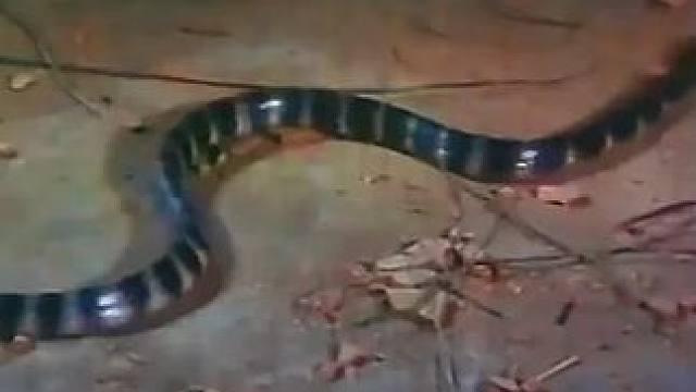 点击上方（红色按钮） 可看完整版 大结局太精彩了...《西瓜视频》，观看精彩后续《西瓜视频》，观看