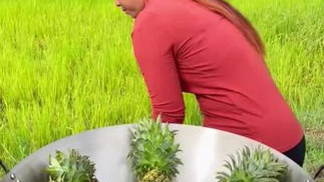 田园美食 #东南亚美食 #农村美食 #乡村味道 #内容启发搜索 #萤火计划