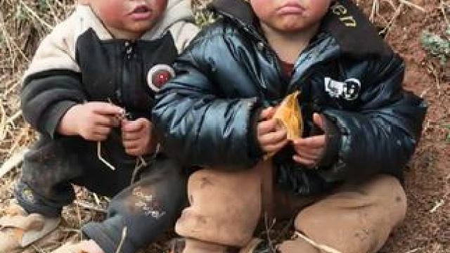 这个是前几天的库存，在地里其实双双挺乖的，只是玩得比较脏。 #内容启发搜索