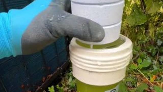 美国居民家庭泳池的常规清洗方式。#清洗泳池 #深度清洁 #焕然一新 #极度舒适 #解压