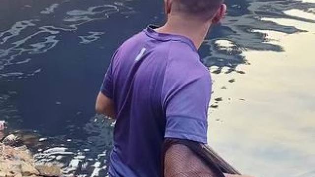 撒网捕鱼#捕鱼#撒网捕鱼#户外捕鱼 #内容启发搜索