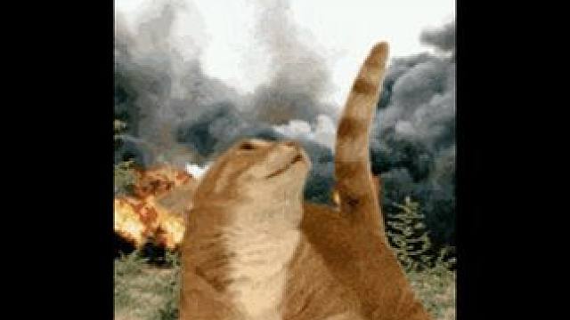 终于知道我扣扣搜搜省的那点钱，是怎样流走的了#护肤 #小技巧