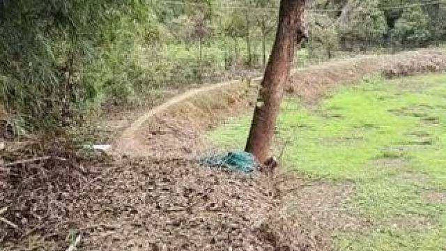 我发布了一个新视频，快来围观吧！