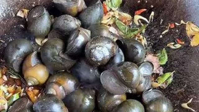 春天的味道 #我的农村生活 #农村美食记录生活 #舌尖上的美食 #萤火计划 #内容启发搜索