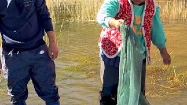 #户外捕鱼 #好多鱼