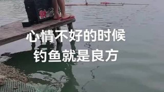 别说你没时间钓鱼了，借口。#钓青鱼  #钓鱼 #钓鱼人就是这么疯狂 #钓