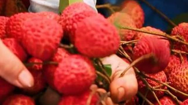 你喝过吗？超好喝 #仙女都在喝什么 #谁懂啊真的很好喝 #夏日必备 #好喝不贵 #快来一起尝个鲜