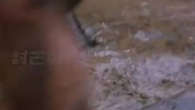 我发布了一个新视频，快来围观吧！