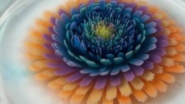 用蝶豆花加柠檬做渐变色，再用胡萝卜汁加点小白醋使其制作过程中更加显色，最后用果汁加牛奶打底，您也能做