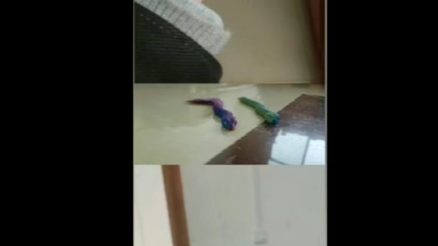 蛇年大吉又大利