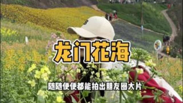 在犍为给你们找到了一处超好玩的好去处！！ #花期已至美好如初 #看花 #记录美好生活 #周边游 #犍