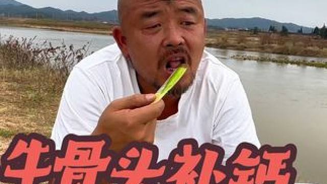 沙大师说牛骨头补钙，第三集#穷游 #穷游小伙 #流浪 #露营美食