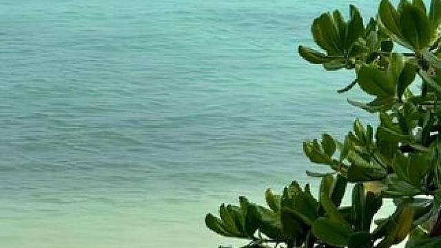 在天津服刑8年的小叔子今天终于要回来了，我婆婆高兴了好几天晚上都没睡着觉#记录生活 #vlog