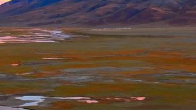 嘿，我是黑颈鹤！看看我们的繁殖地都是什么样的吧！