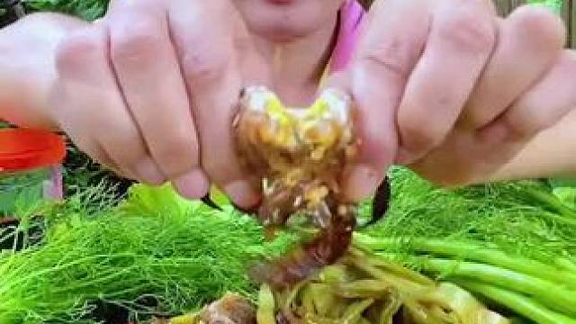 泰国美食分享 #我的农村生活 #舌尖上的美食 #体验原生态美食的乐趣 #我的乡野山居生活 #东南亚美