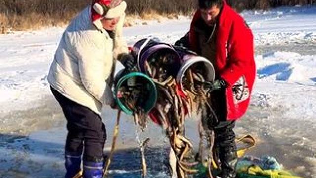 #户外捕鱼 #好多鱼