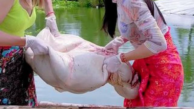 我的乡野山居生活~