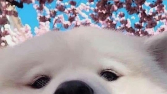 无