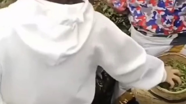 不是精是坏[捂脸]