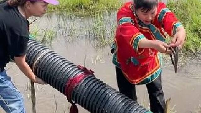 #户外捕鱼 #好多鱼