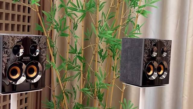 看得见的好声音