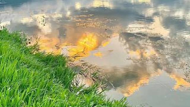 来自深海的带鱼罐头，肉质鲜嫩营养丰富，来上一罐能吃两大碗米饭，真的太香了！#带鱼 #带鱼罐头