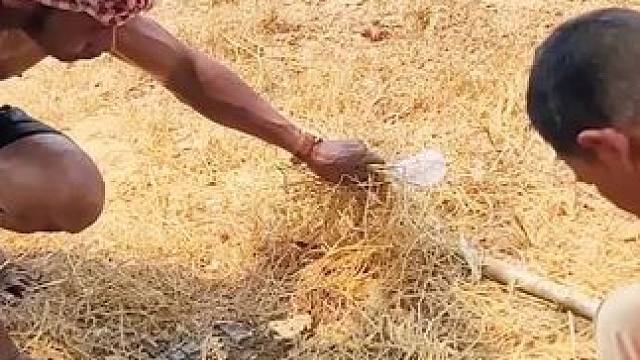 东南亚乡村美食 #东南亚美食#东南亚矮子