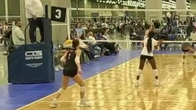 这自由人也太拼了吧 #精彩瞬间 #救球 #排球#排球之窗