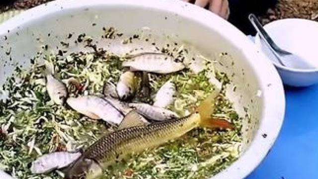 越南鱼生 #农村美食记录生活 #大山里的味道 #越南鱼生