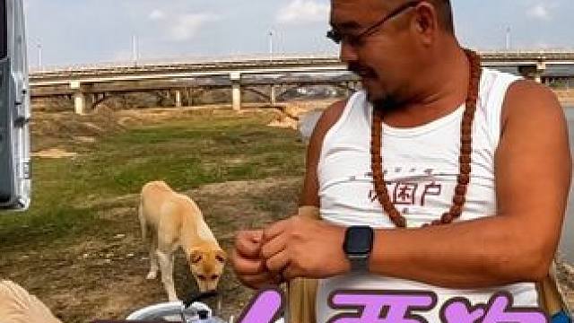 沙老师一人两狗的快乐生活，晚餐在河边吃肉三个家伙平分，中集#穷游