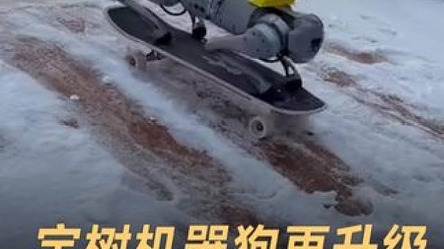 宇树机器狗再升级，蹬腿玩滑板，超丝滑#宇树机器狗 #机器狗 #Go1 #人工智能 #科技强国
