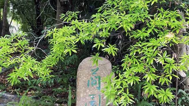 砖家说：健步5公里