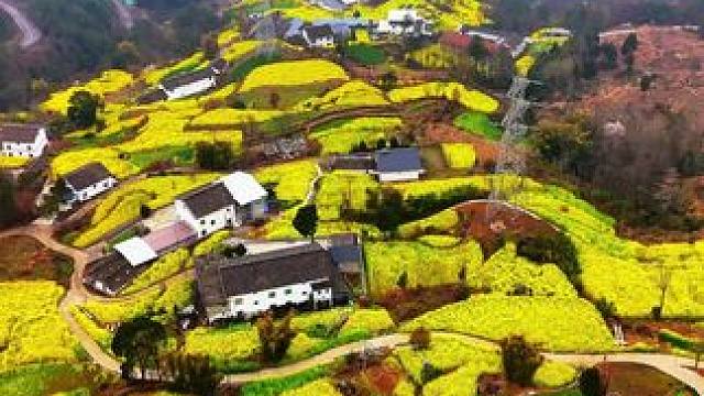 这才是春天该有的样子#待到春花烂漫时 #给你看看家乡的春天#山野自然  #春来广元#旅行推荐官