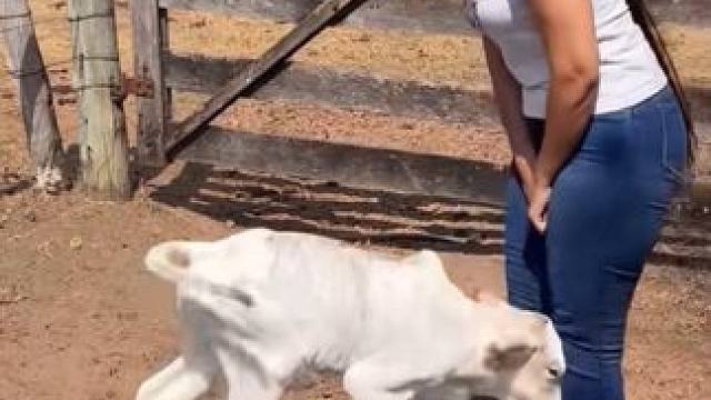 女牧场主饲养员饲养牛马。#记录牧场生活 #农场日记 #新农人计划 #我的农场生活 #畜牧业