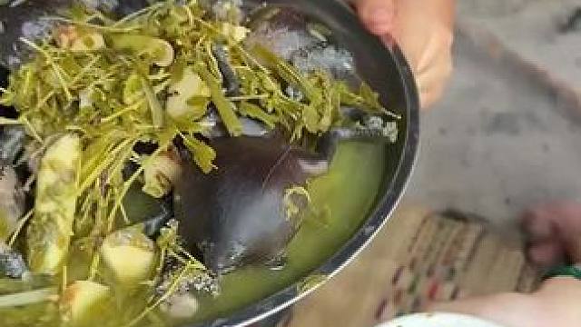 泰国林蛙好吃 #泰国美食 #泰国林蛙 #这才是名副其实的吃货 #东南亚美食 #妈呀太香了吧