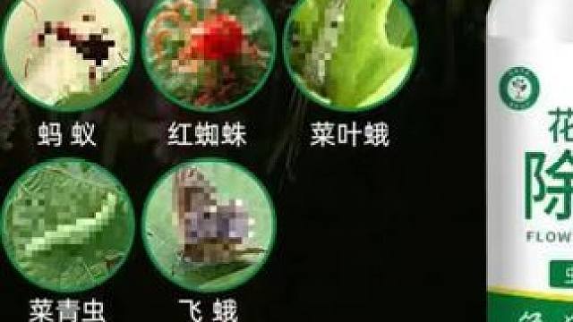 只杀虫不伤花花卉绿植杀虫剂养花花药蚧壳虫小黑飞蚜虫全灭除通用
 
 #绿植杀虫剂 #杀虫剂 #花卉杀