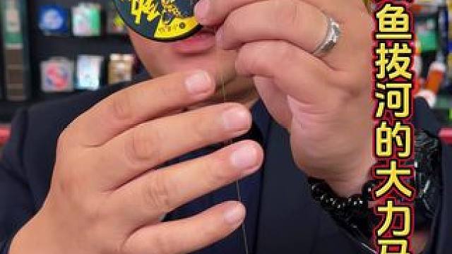 小凤仙斑点大力马主线 专钓大鱼的大力马斑点鱼线，还可以直接跟大鱼拔河，小凤仙品牌。#大力马线组 #斑