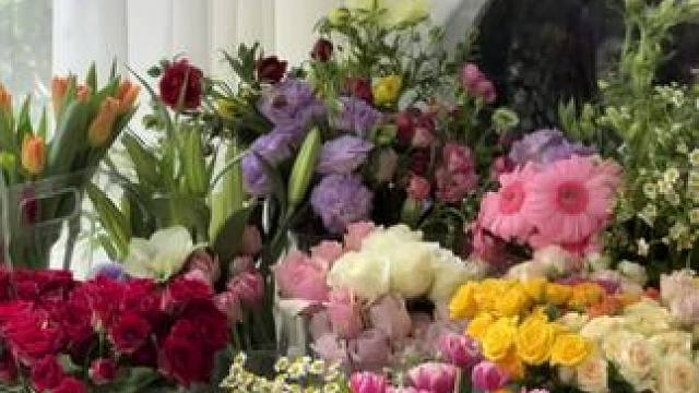 世界开满了花 #浪漫是一种能力