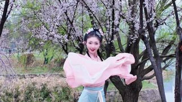 三拜红尘凉和樱花的配适度#三拜红尘凉 #黄龄版三拜红尘凉舞蹈挑战 #舞蹈翻跳 #古典舞 #樱花